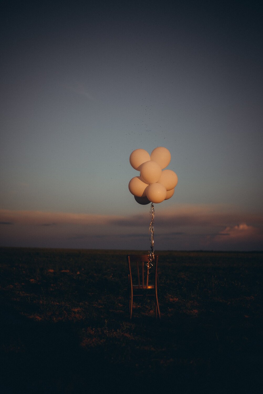 Photo #13705166