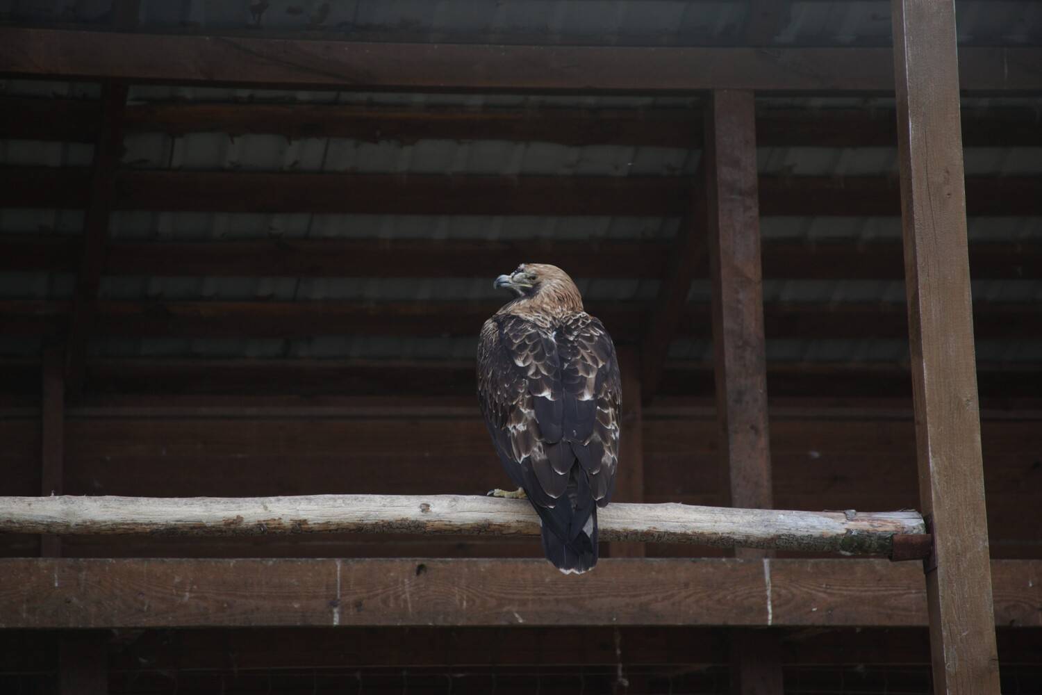 Photo #13705205