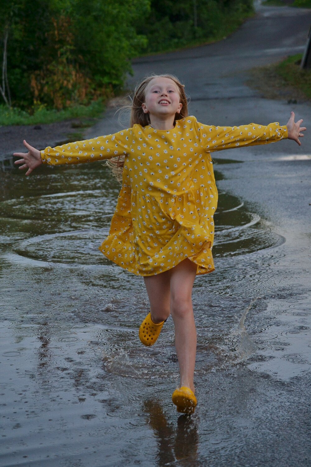 Photo #13705206