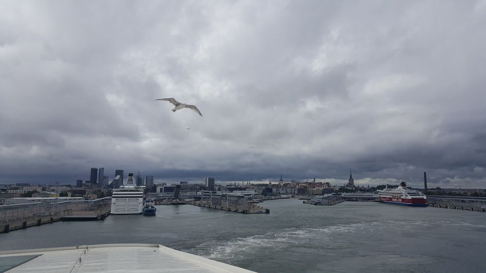 Photograph by Денис Дулин