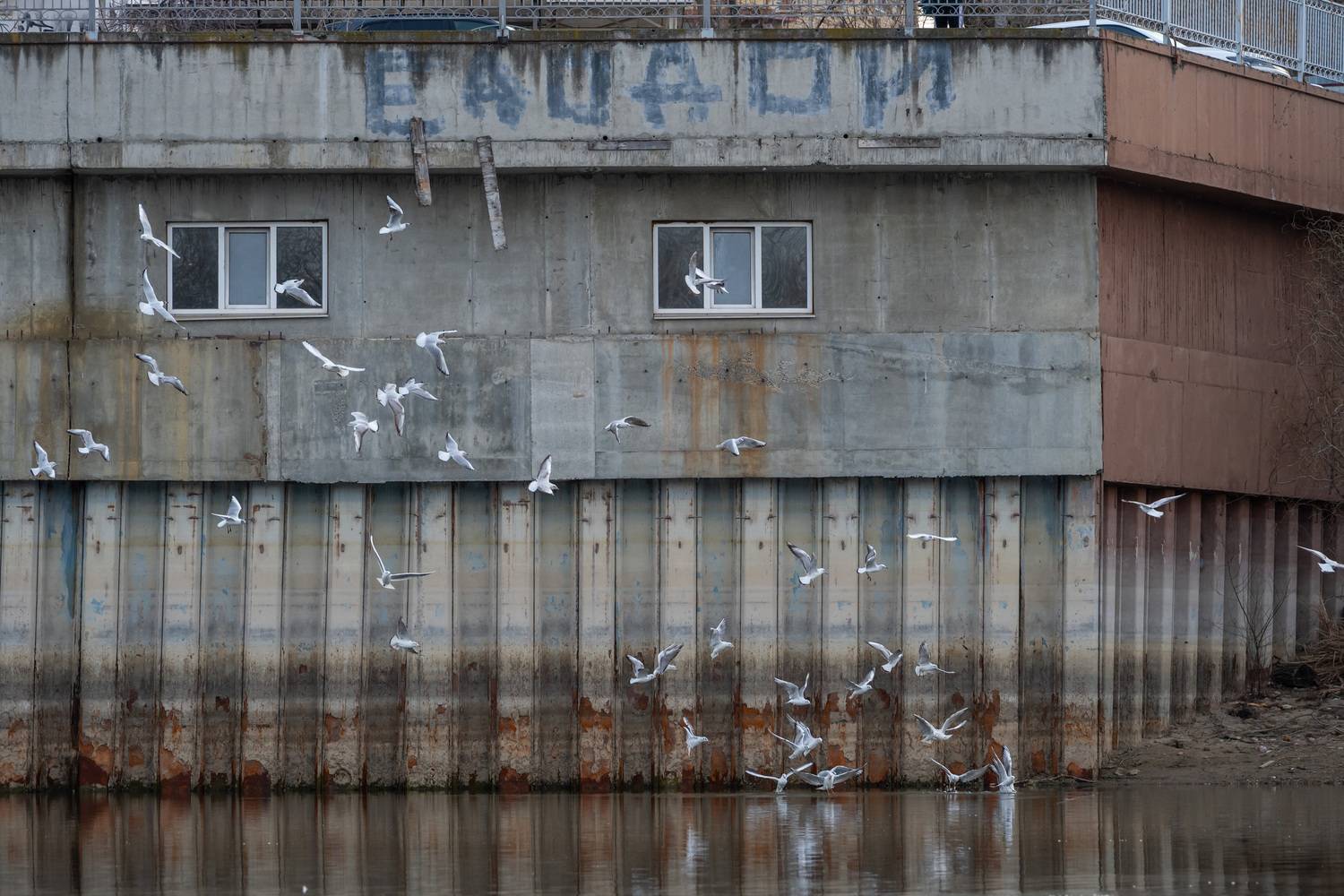 Photo #13705225