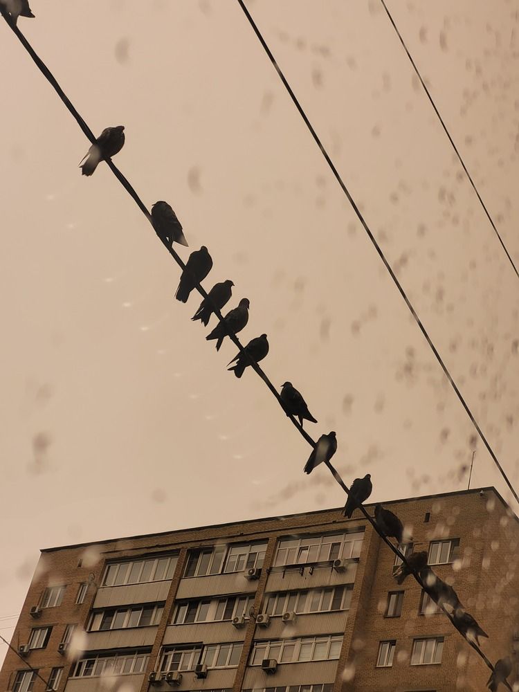 Photograph by Денис Дулин