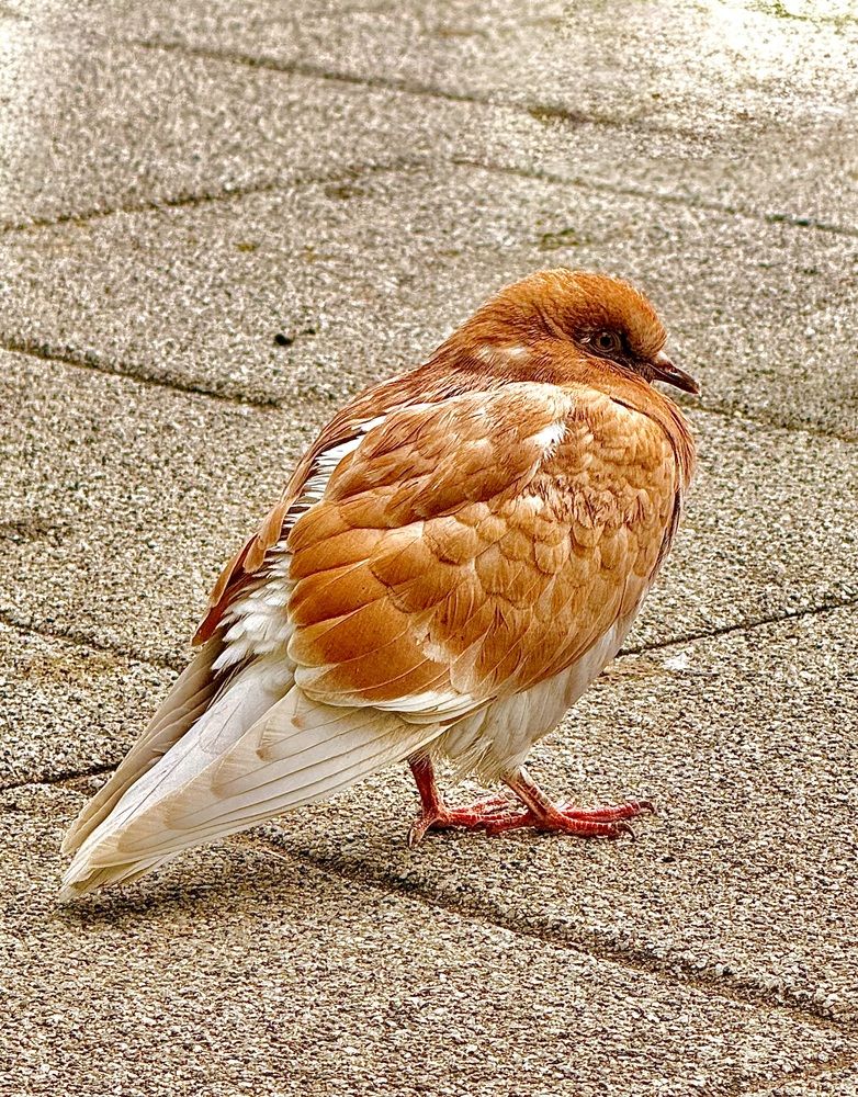 Photograph by Марина Василенко