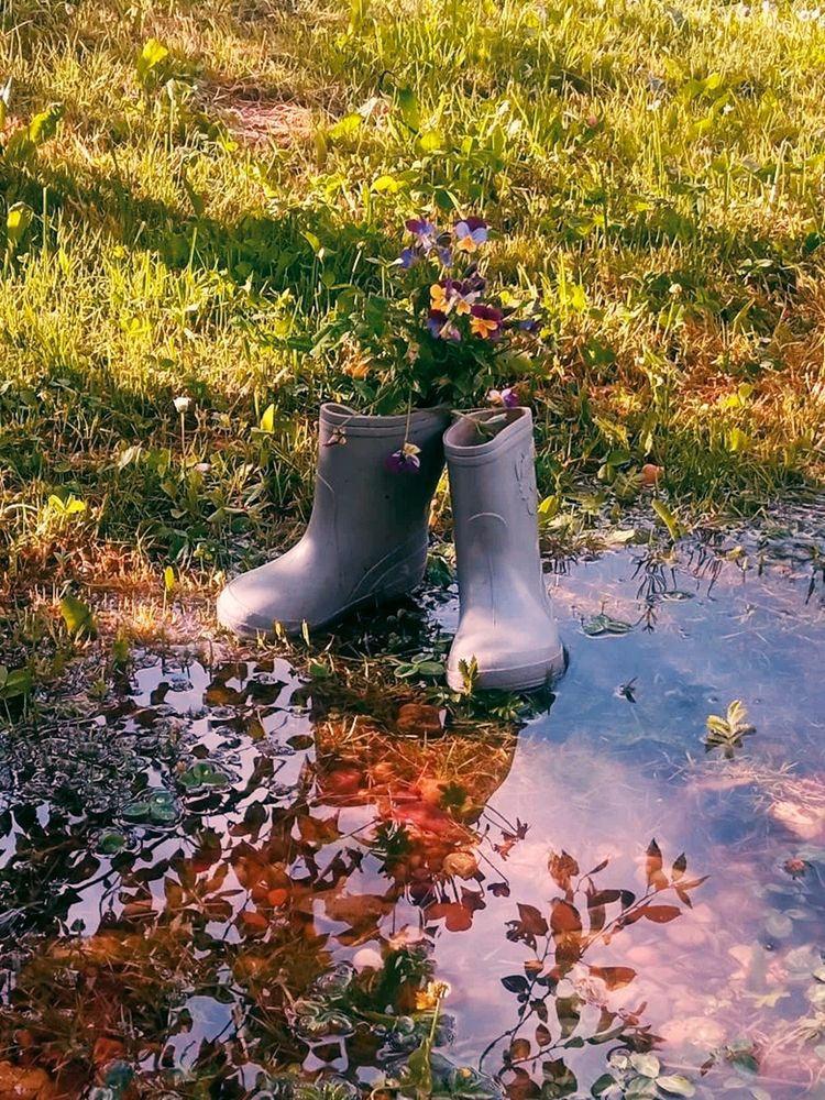 Photograph by Елена Прокофьева