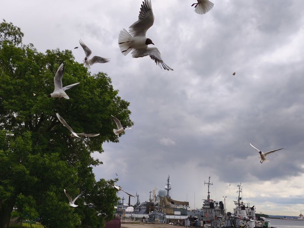 Photograph by Ирина Садовникова