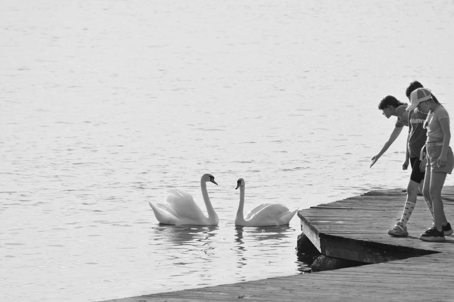 Photo #13705594