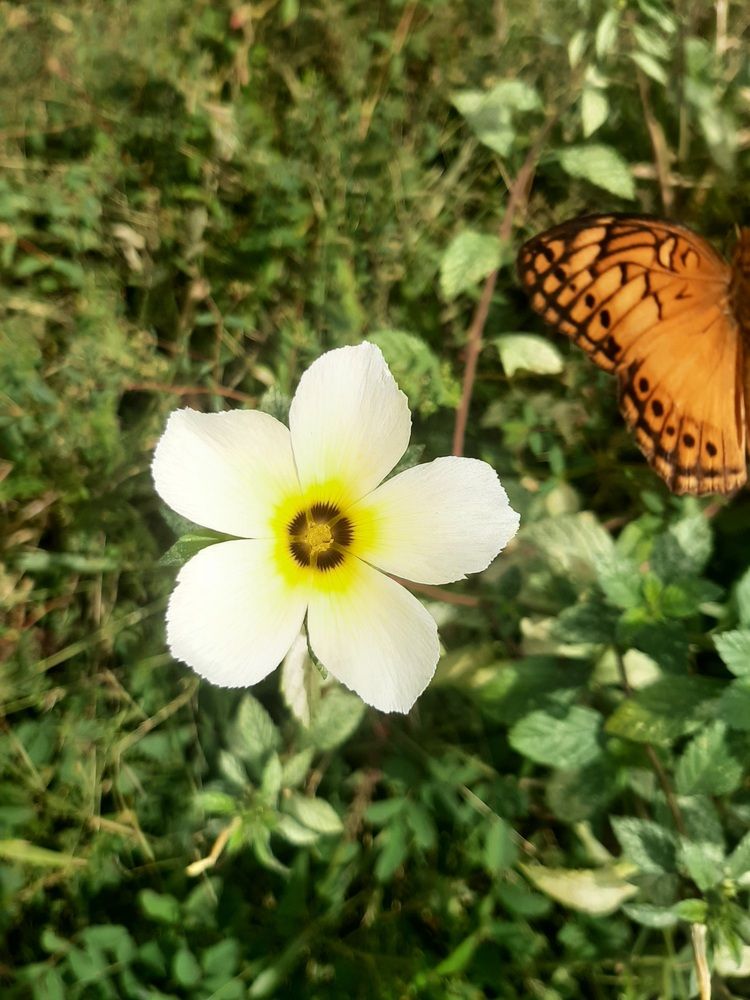 Photograph by João Caridade