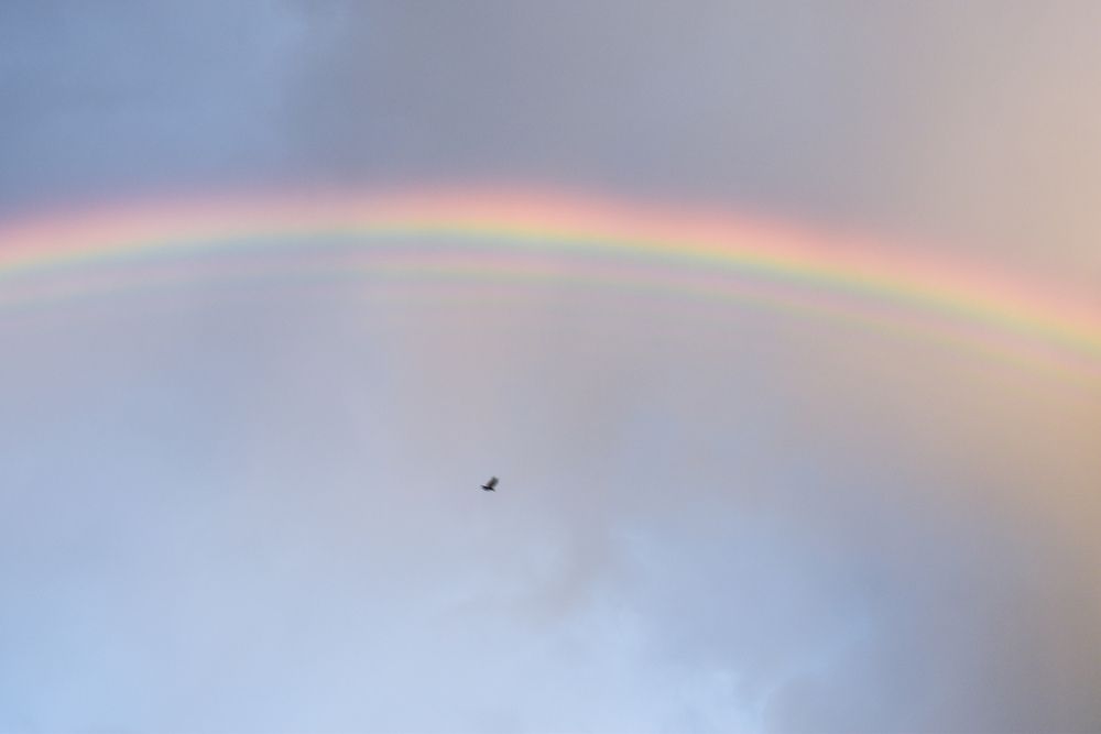 Photograph by Юлия Климова