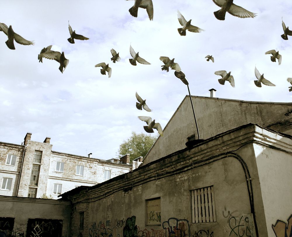 Photograph by Девятый Эдуард