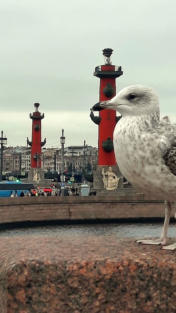Photograph by Оксана Волкова