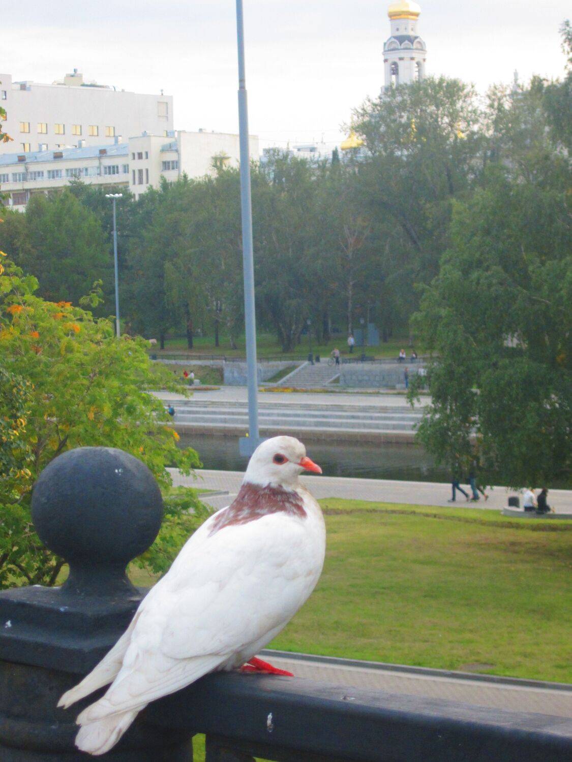 Photo #13705761