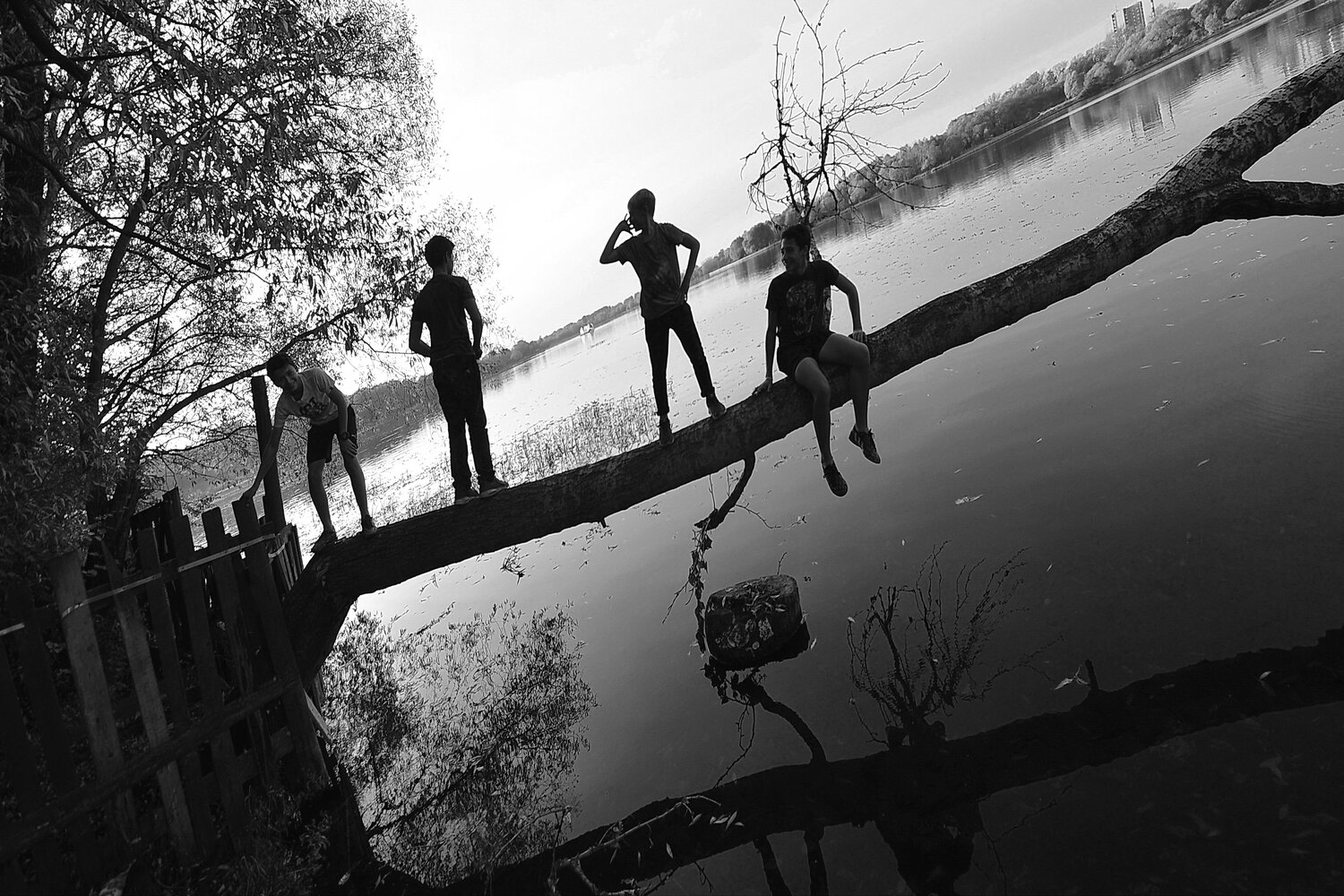 Photo #13705807