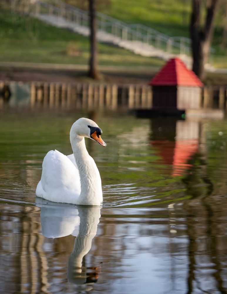 Photograph by Владимир Охрименко