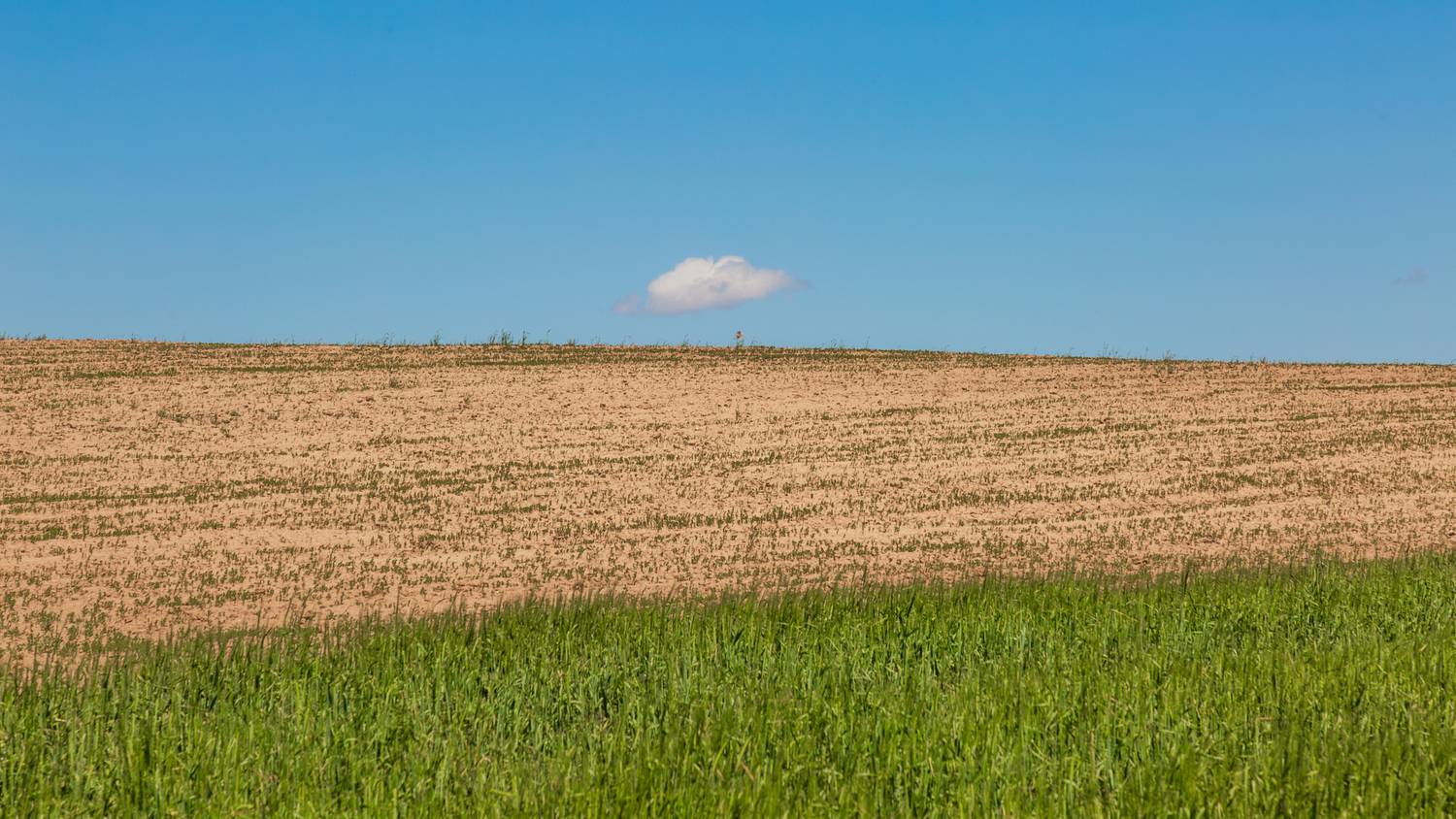 Photo #13705936