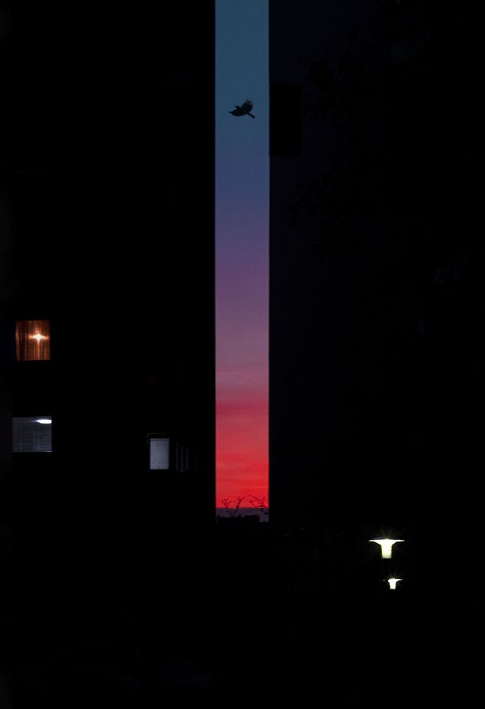 Photograph by Abdullah Ibradžić