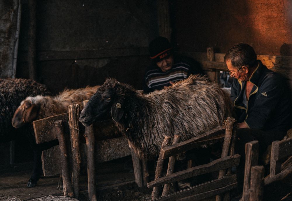Photograph by Олег Сухенко