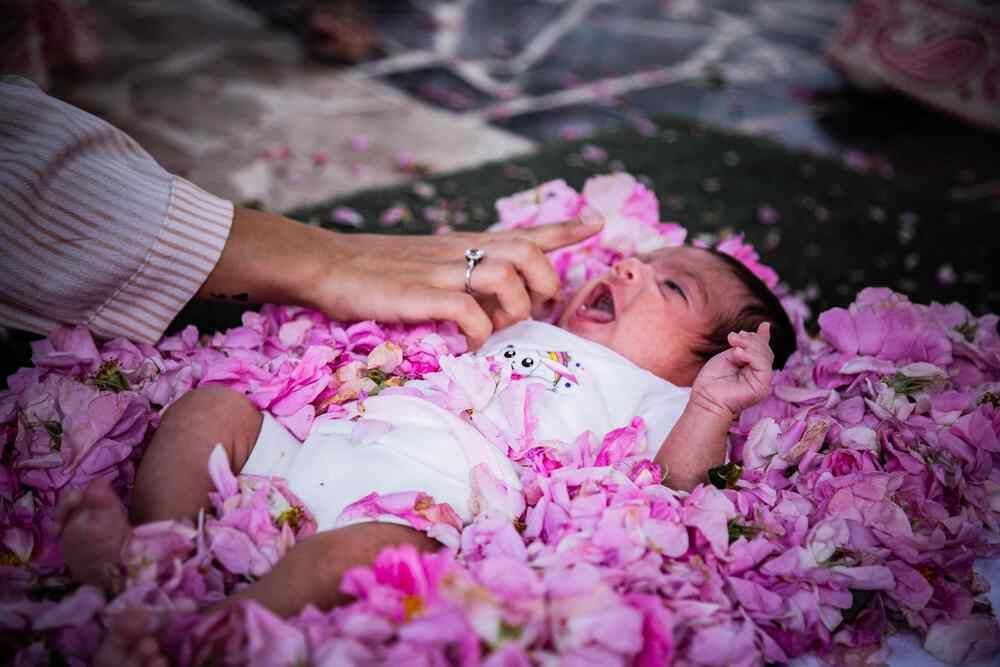 Photograph by seyed mostafa yousefi