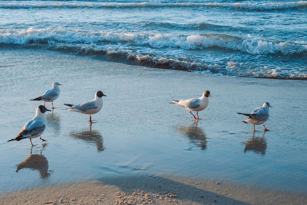 Photograph by Екатерина Валиуллина