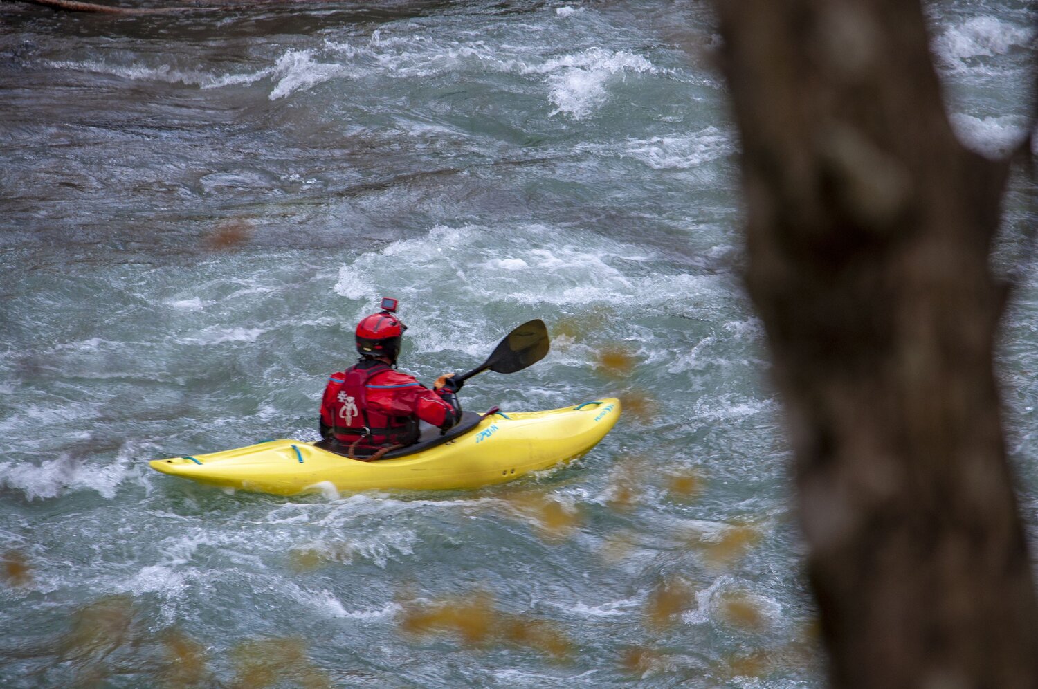 Photo #13706036