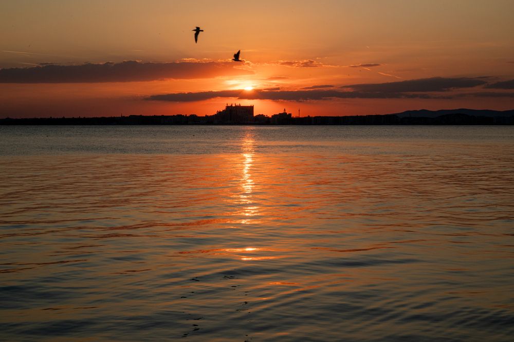 Photograph by Miglena Koeva