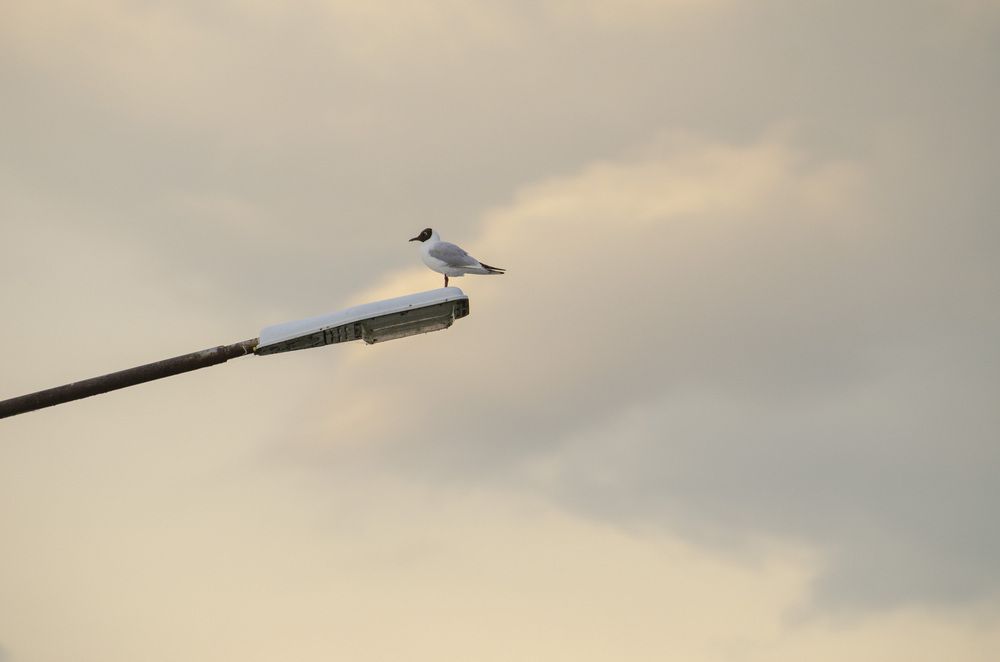 Photograph by Светлана Кудянова