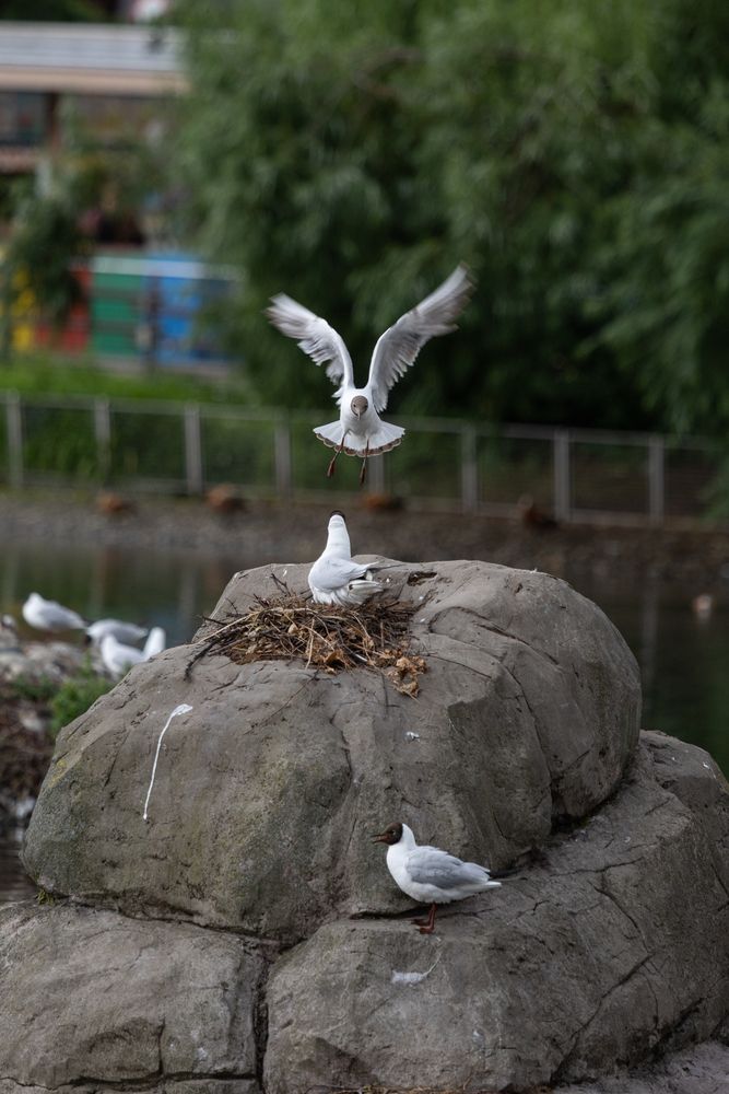 Photograph by Иван Мирошкин