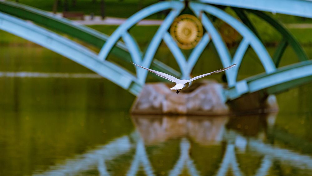 Photograph by Лоскутов Илья