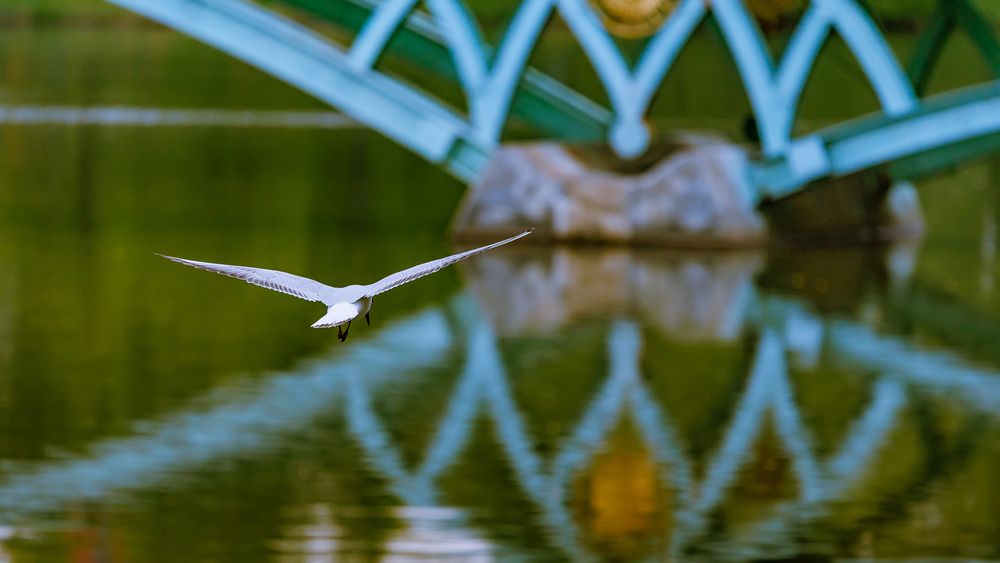 Photograph by Лоскутов Илья