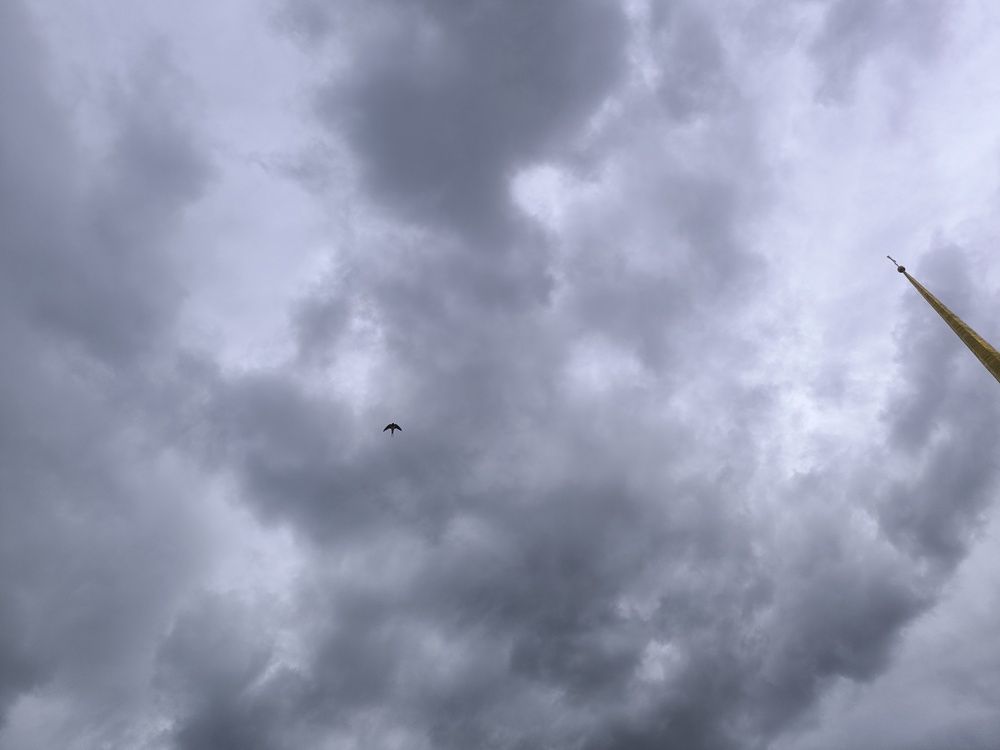 Photograph by Денис Соломачев