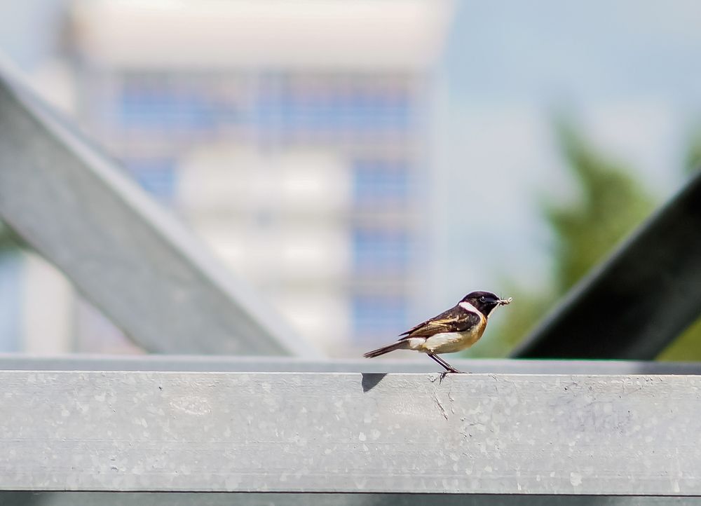 Photograph by Виктор Сёмушкин
