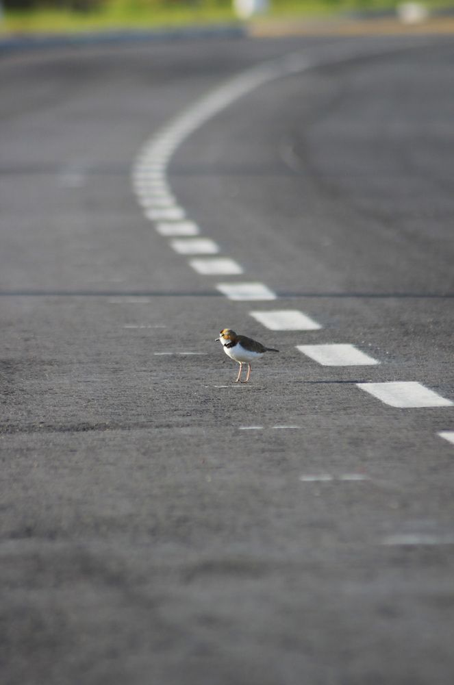Photograph by Mario Rovina