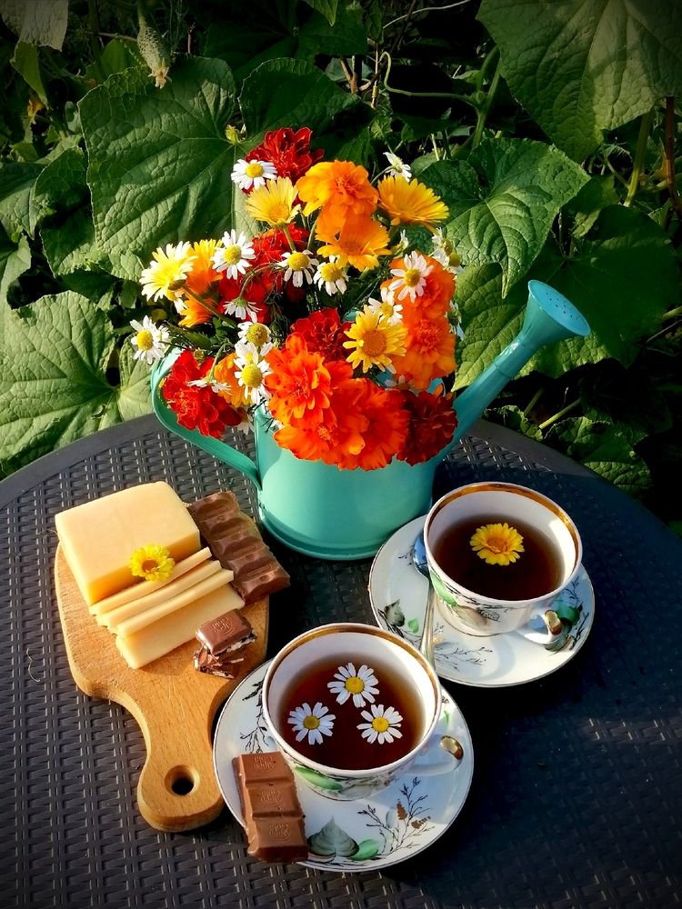 Photograph by Елена Чернякова
