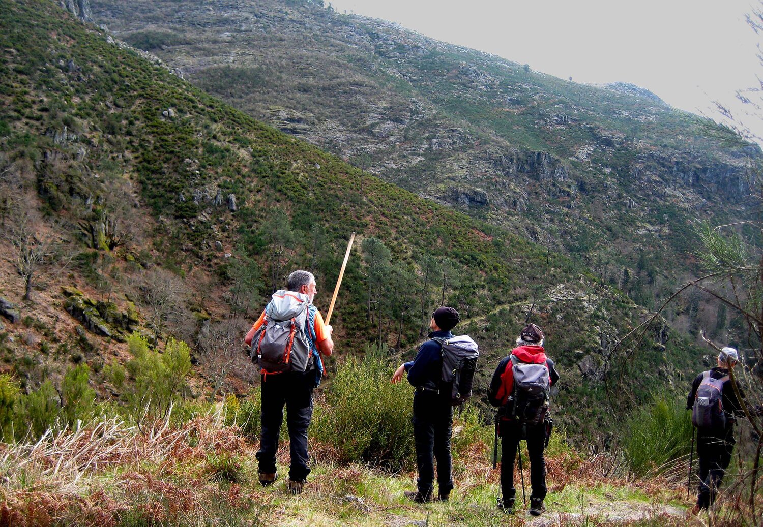 Photo #13706351