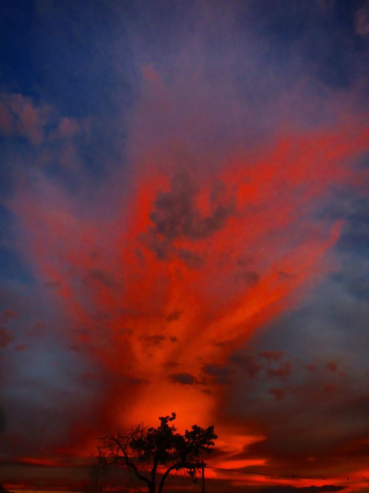 Photograph by ADERLANDIA SALOMAO