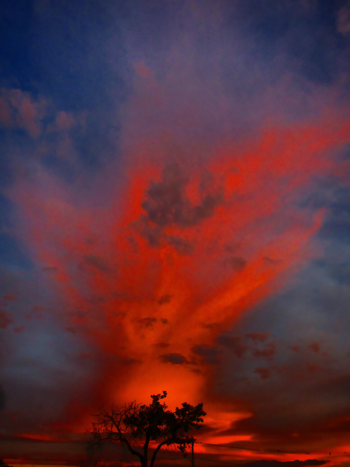 Photo #13706390