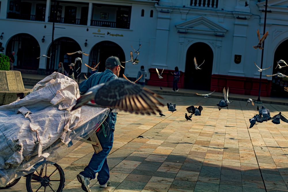 Photograph by Mateo Arbelaez Ocampo