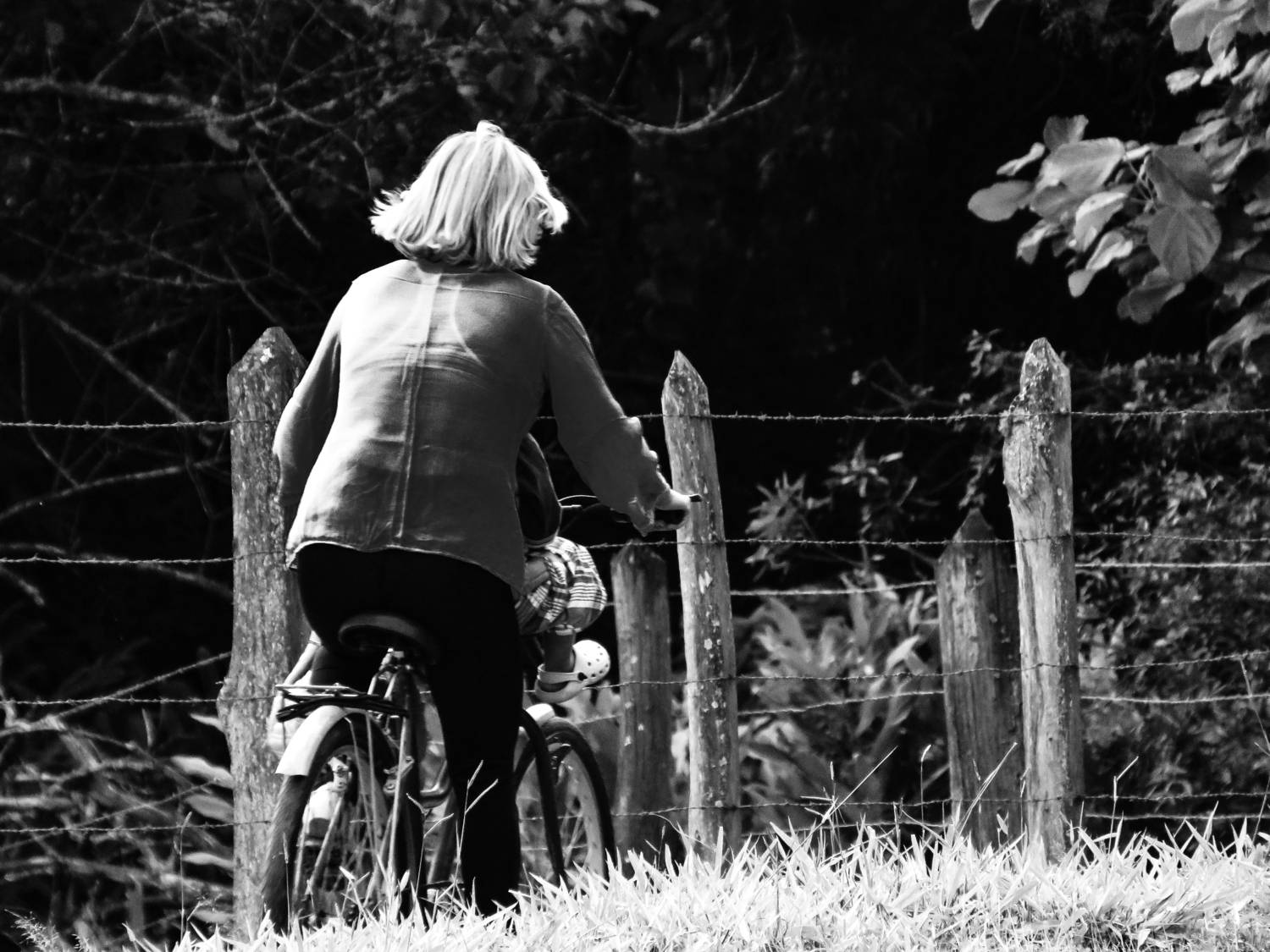 Photo #13706442