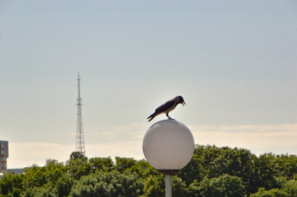 Photograph by Yuri Afanasyev