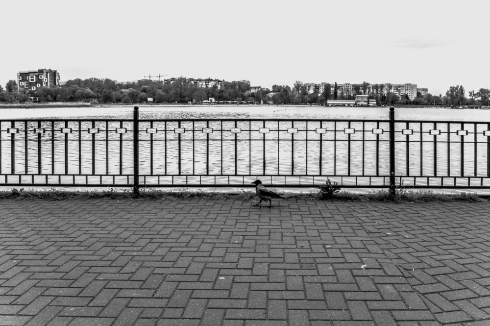 Photograph by Yuri Afanasyev