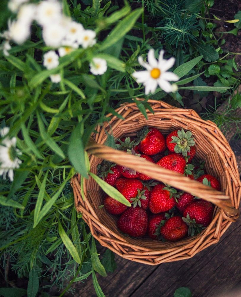 Photograph by Алёна Кибичеева