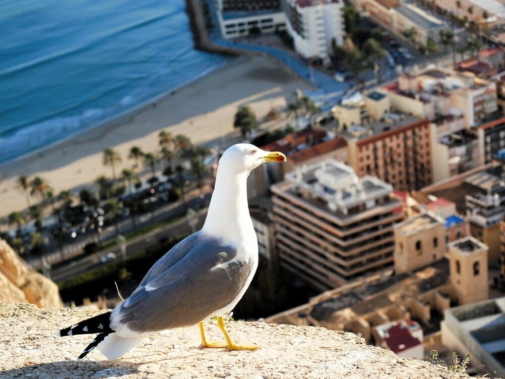 Photograph by Владимир Зубанков
