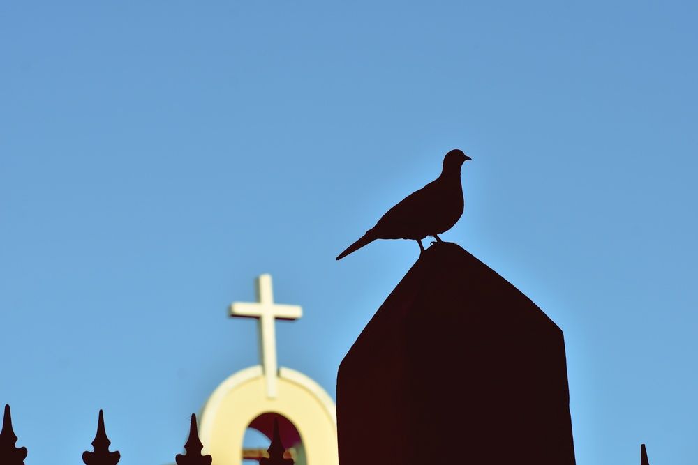 Photograph by Andria Hernández Ruiz