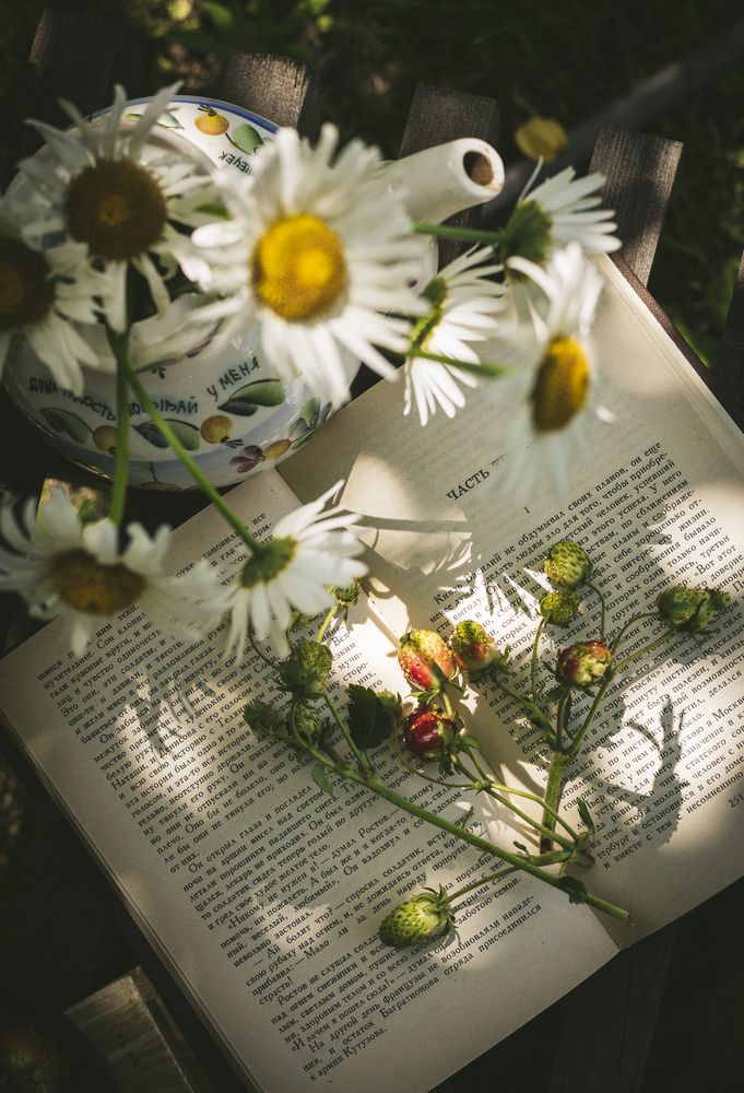 Photograph by Мария Половинкина