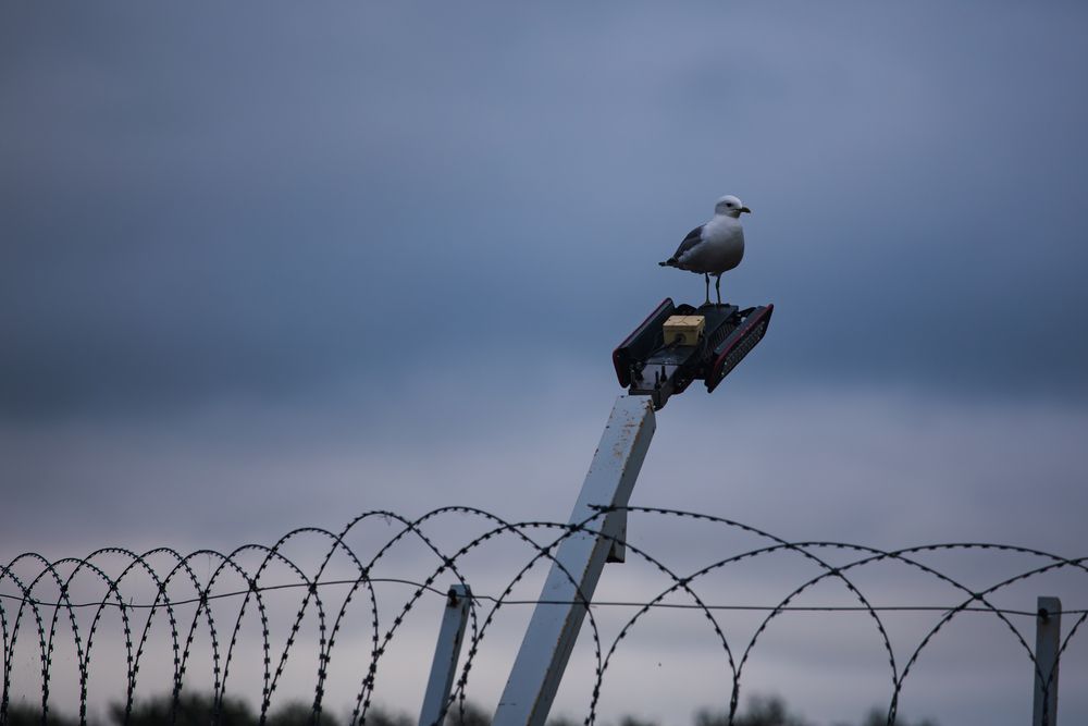 Photograph by Евгения Буйских