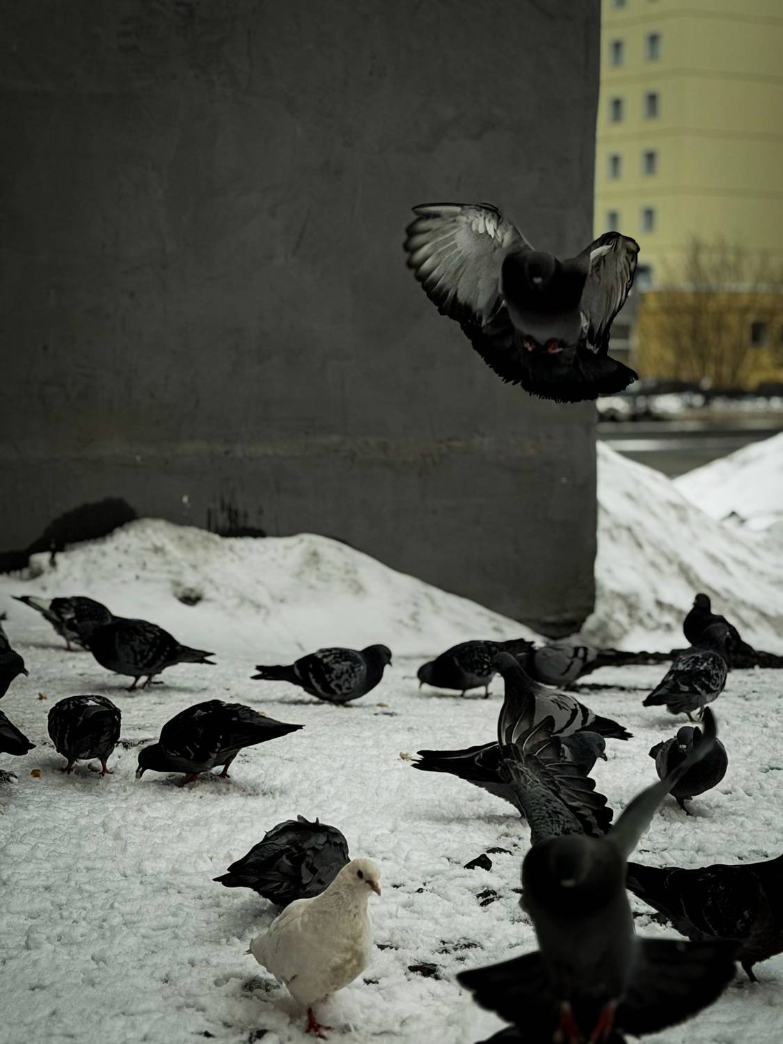 Photo #13706836