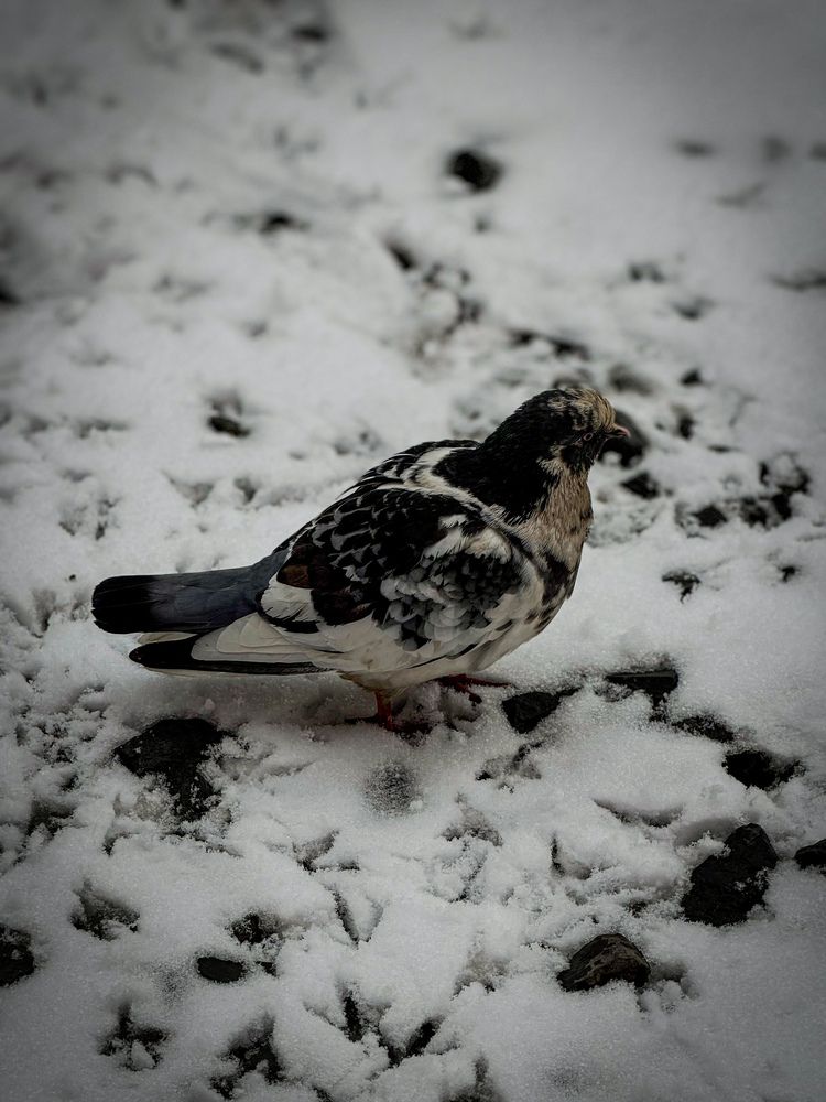 Photograph by Ярослава Васильева