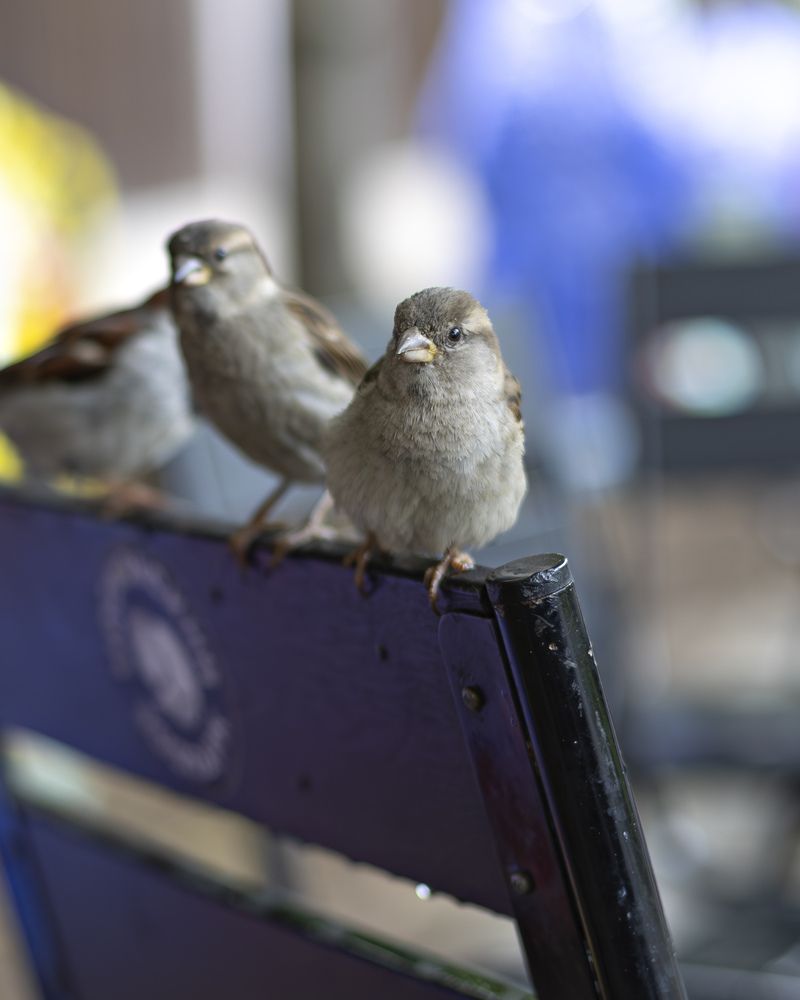 Photograph by Татьяна Федченко