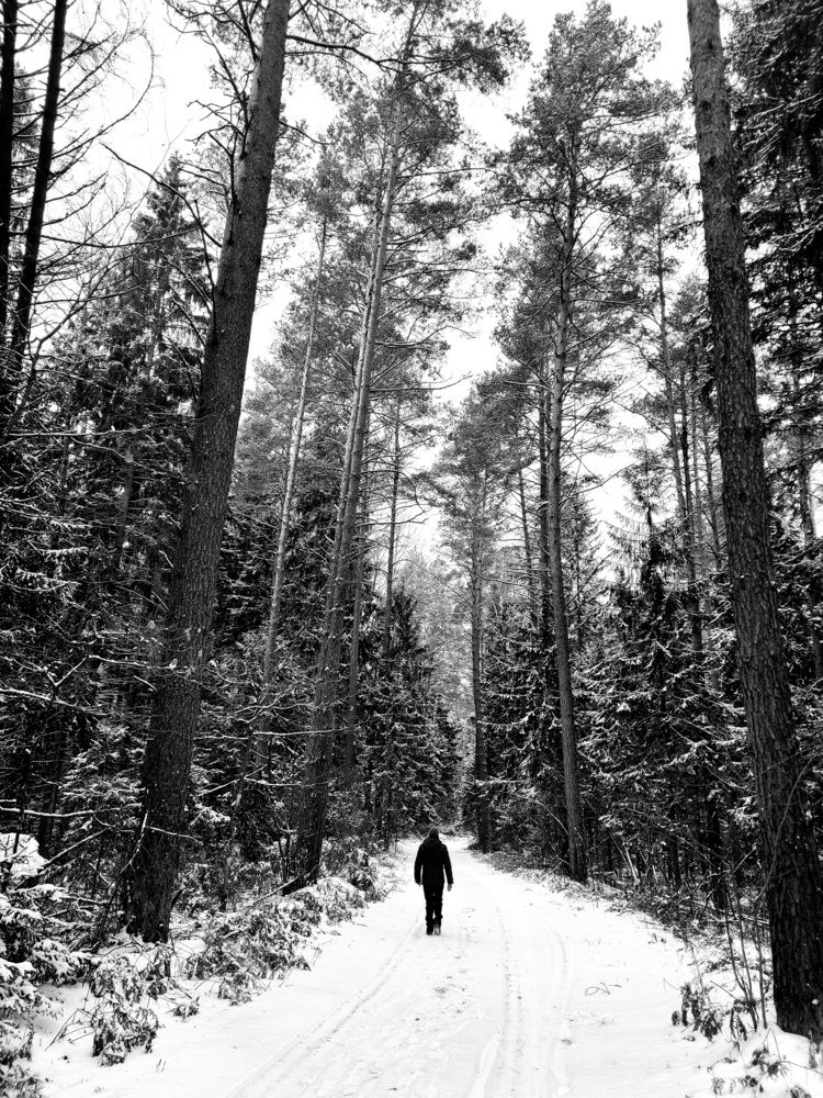 Photograph by Егор Жук