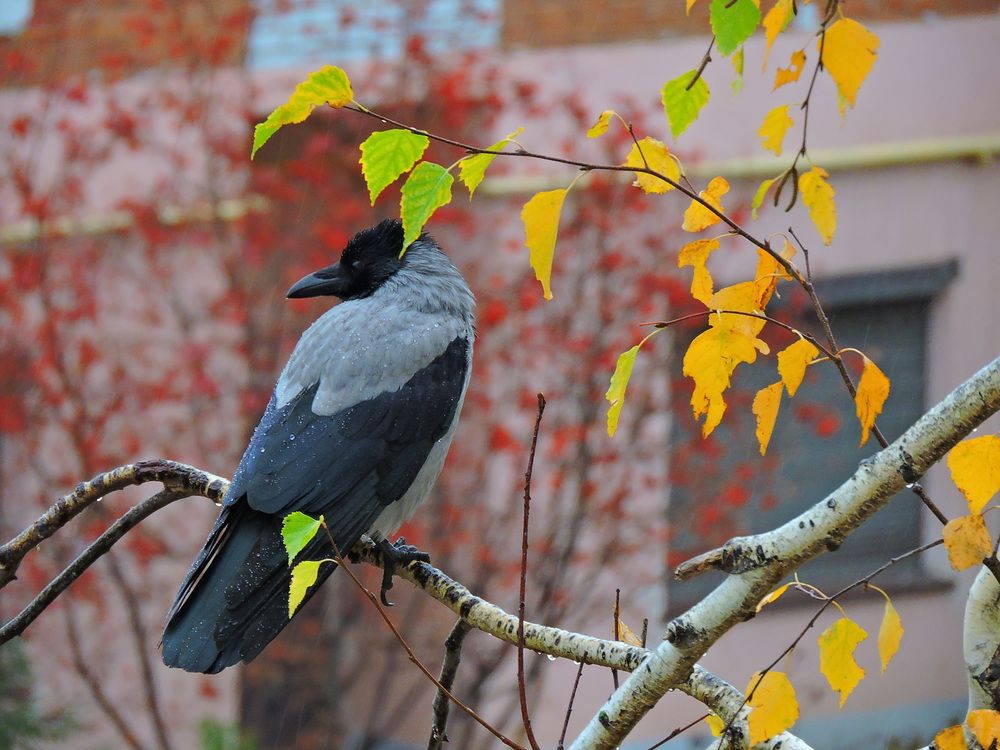 Photograph by Наталия Васильева