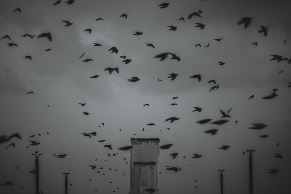 Photograph by Mano